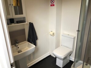 Shower, hair dryer, towels, shampoo
