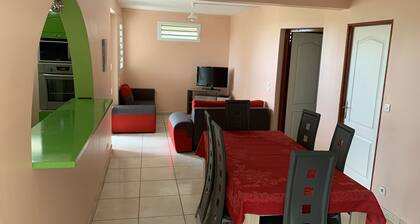 Very nice F3 furnished comfort for rent