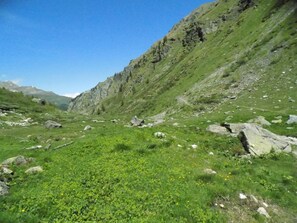 Property grounds - Grimentz : apartment 6 persons - at the foot of the slopes (Grimentz)