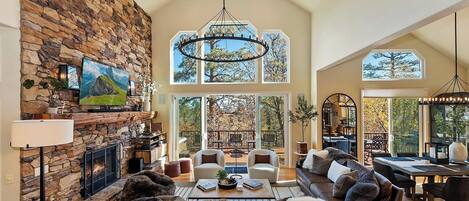 Télévision, cheminée, jeux vidéo, lecteur de DVD