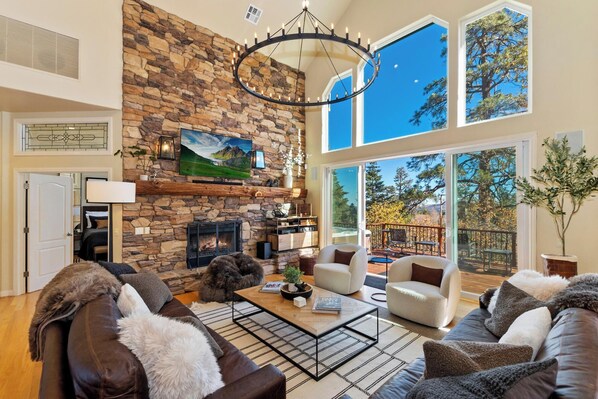 TV, fireplace, video games, DVD player