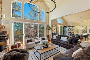 TV, fireplace, video games, DVD player