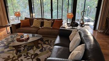 Smart TV, fireplace, Netflix, DVD player