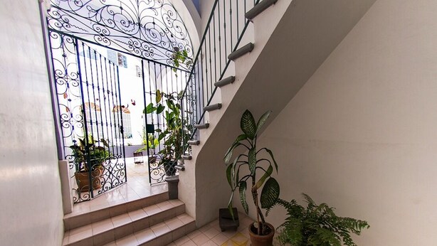 Una escala amb una porta de ferro forjat que condueix a un balcó, envoltat de plantes en testos.
