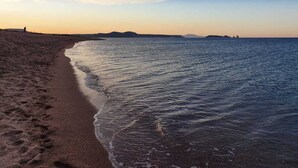 Une plage avec un rivage sablonneux et des vagues douces.