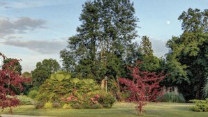 Un espace aménagé comme un parc, avec une variété d’arbres et d’arbustes, un ciel dégagé et un chemin pavé.