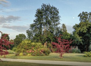A park-like setting with a variety of trees and shrubs, a clear sky, and a paved path. - GITE LILAS (Notre-Dame-de-Sanilhac)