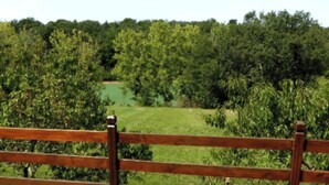 Une clôture en bois offrant une vue sur un paysage verdoyant et des arbres.