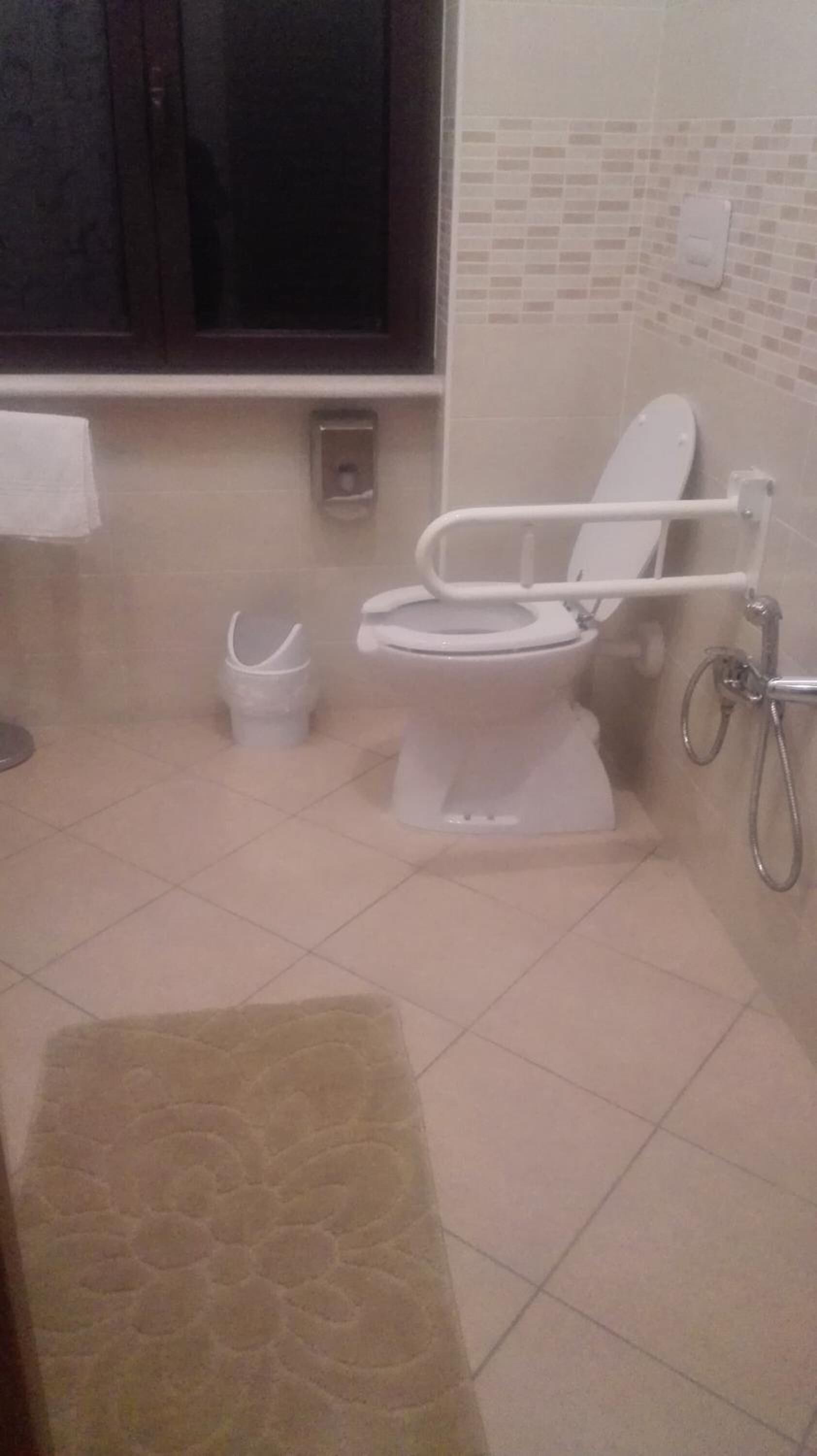 Un baño con inodoro, bidé, toallero y un felpudo estampado.