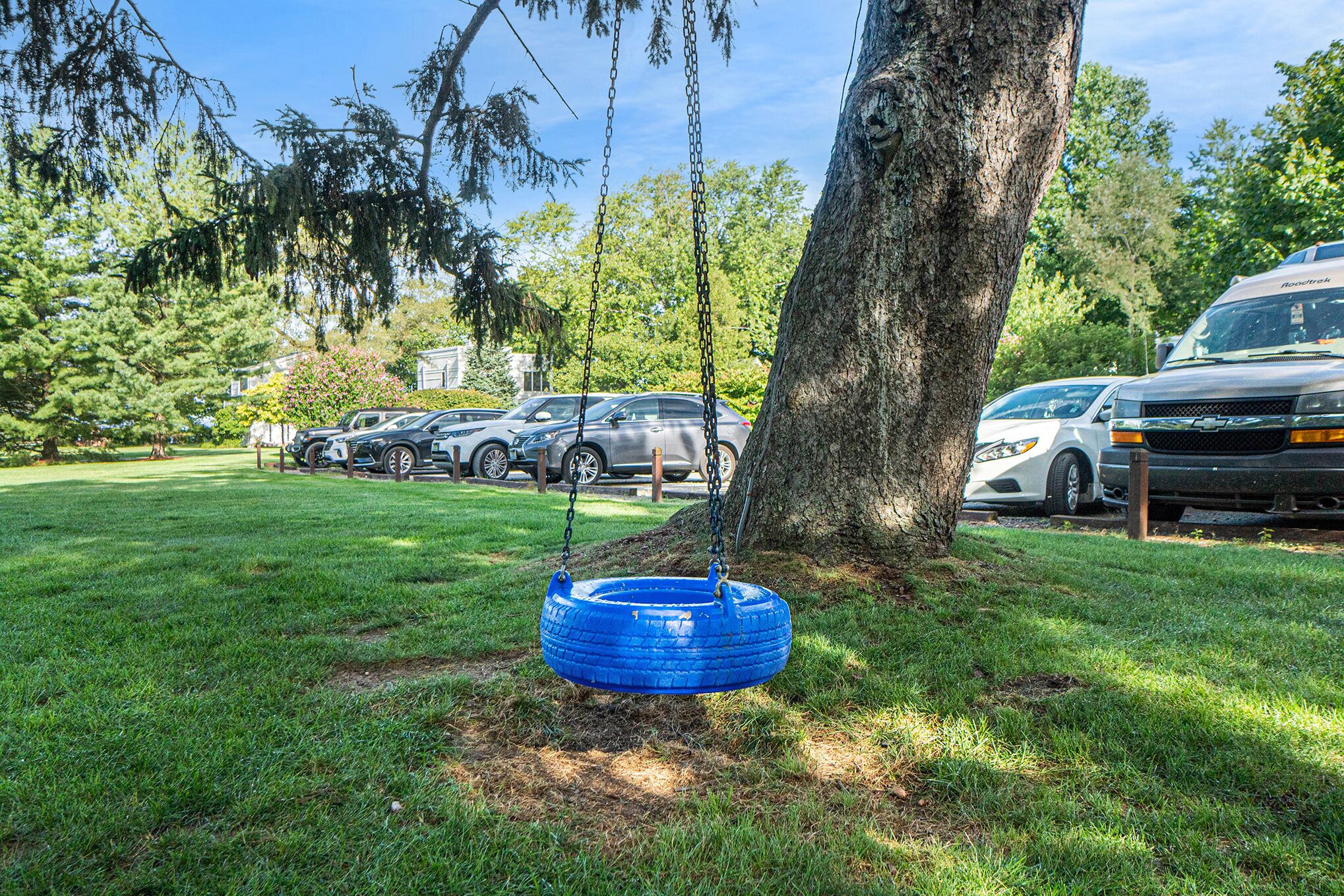Un columpio de neumático azul colgado de un árbol en un patio cubierto de césped, con coches aparcados al fondo.