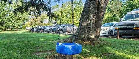 Un columpio de neumático azul colgado de un árbol en un patio cubierto de césped, con coches aparcados al fondo.