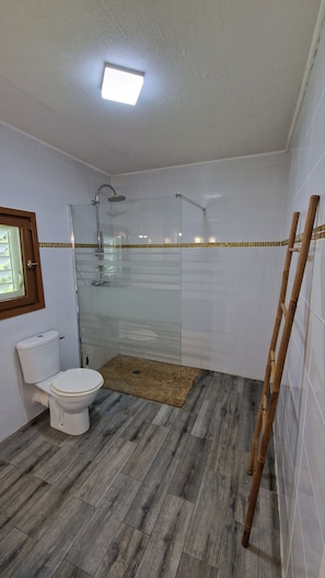 Regadera, toallas, papel de baño