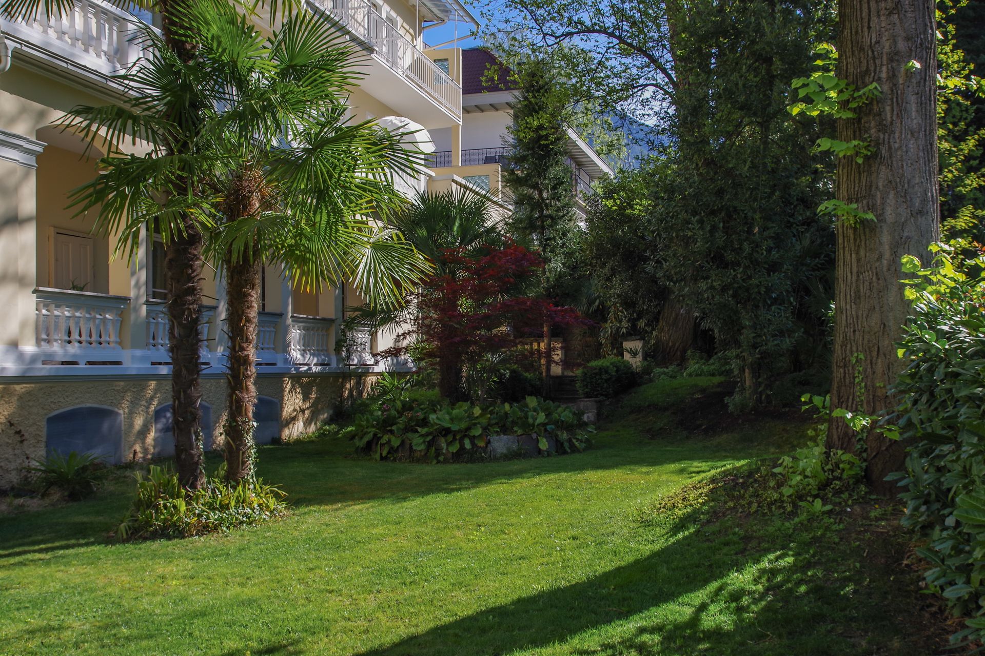 A lush garden with palm trees and a variety of plants, a well-maintained lawn, and a building with balconies.
