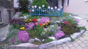 Um canteiro com diversas flores coloridas e uma cerca de piquete azul com flores brancas.