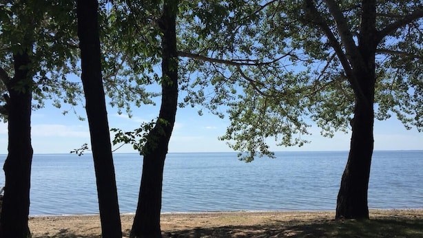 Une plage bordée d’arbres, offrant une vue dégagée sur l’eau.