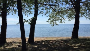在海滩、沙滩椅