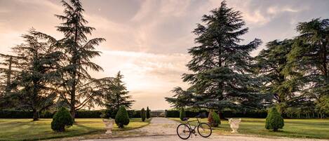 Áreas de la propiedad