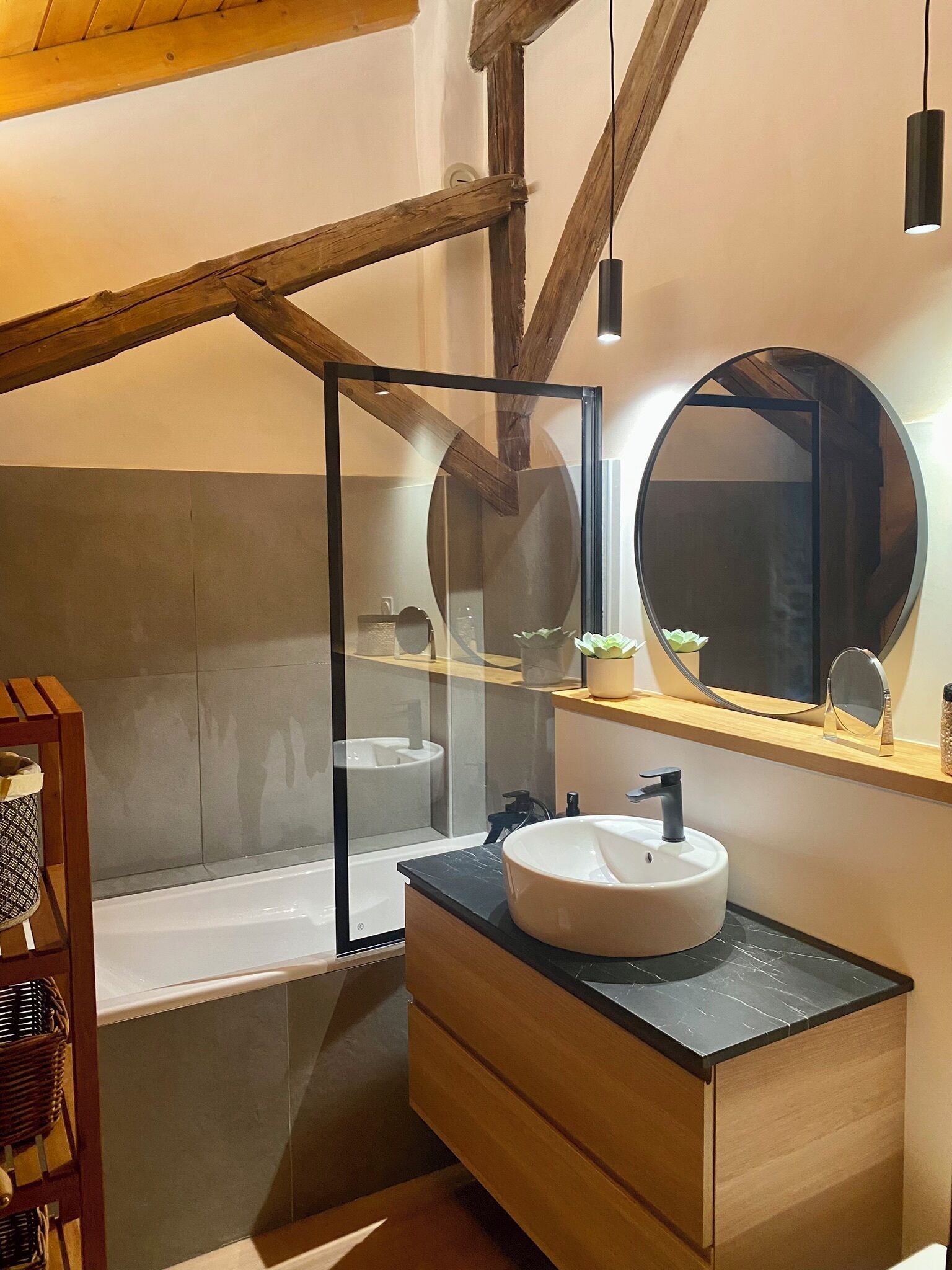 Combined shower/tub, hair dryer, toilet paper