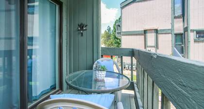 Edullinen Lakeview Condo - Kävele järvelle! Järvinäkymä! WiFi! Vapaa 2 tunnin polkupyörän / kajakki vuokraus!