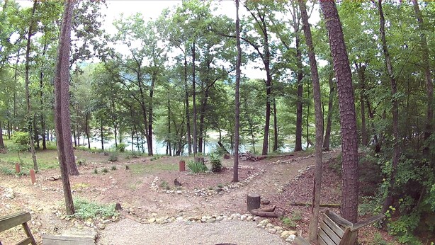 A forested area with a gravel path, a wooden bench, and a small pond.