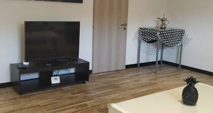 Venez visiter l'Alsace