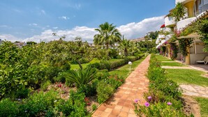 A well-maintained garden with a paved walkway, lush greenery, and a clear blue sky.