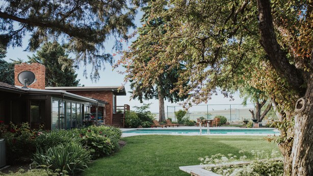 A backyard with a swimming pool, a brick house, and a large tree.