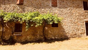 Ein Steinhaus mit einem Ziegeldach, zwei Fenstern mit Holzläden und einer mit Efeu bewachsenen Mauer.