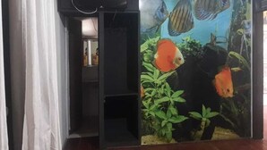 Una habitación con un acuario grande, televisor y cortina.
