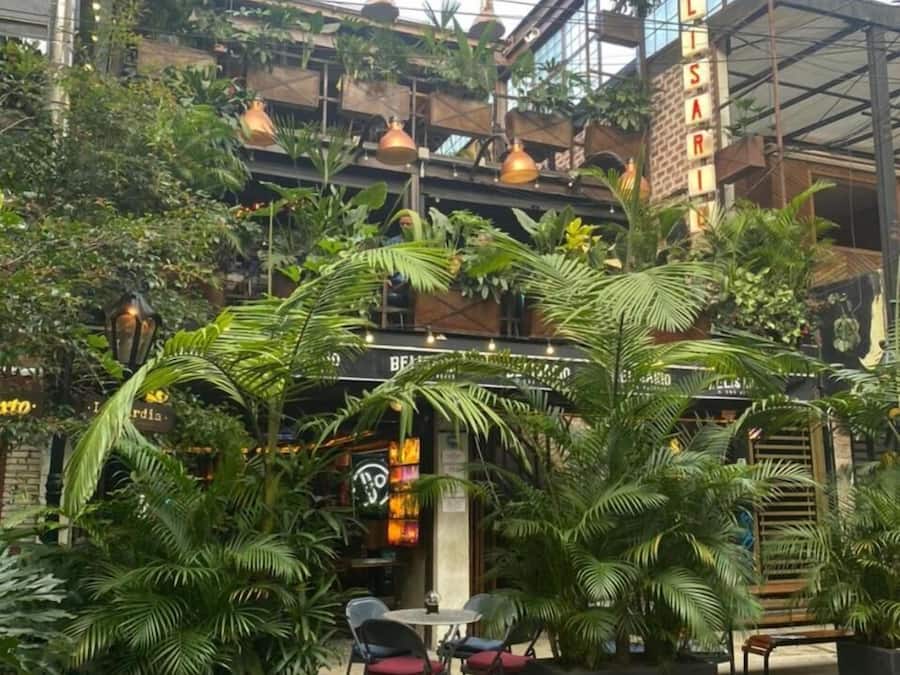 Jardines del alojamiento