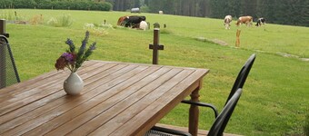 Koselig fritidshus med fantastisk utsikt