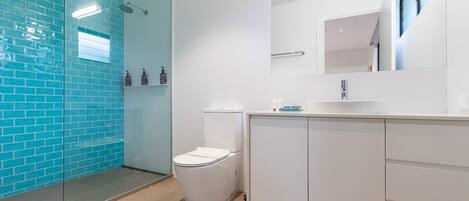 A modern bathroom with a glass shower enclosure, a white toilet, and a sink with a mirror above it.
