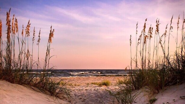 A beach path leading to the ocean with tall grasses on either side.
