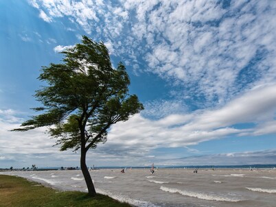 Glamping Dome on Lake Neusiedl / fertörakos / Rust / Mörbisch / Burgenland