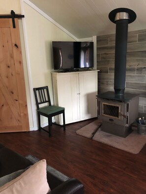 TV connectée, cheminée, lecteur de DVD, livres