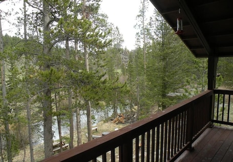 Property grounds. Escape to River Song Refuge~On the N. Fork of the Cache la Poudre River!