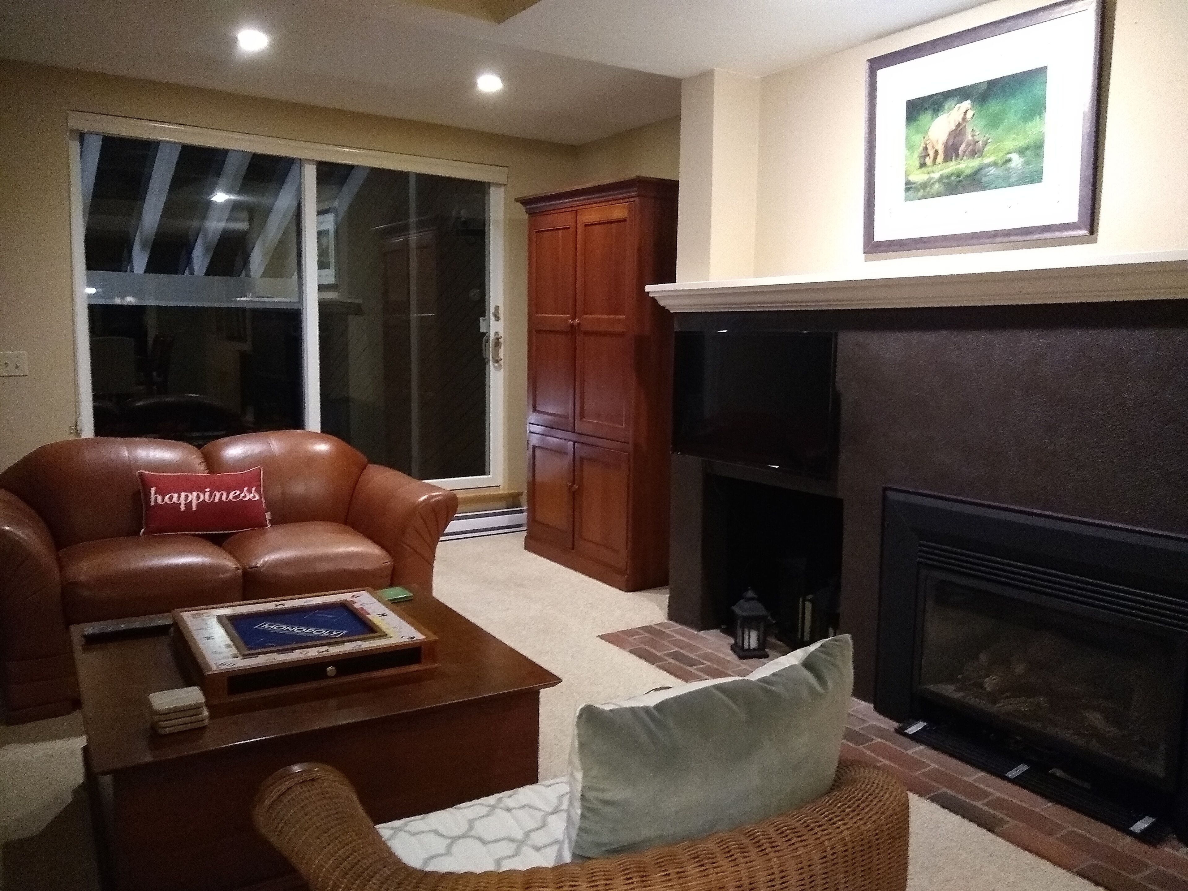 电视、壁炉、DVD 播放器、书