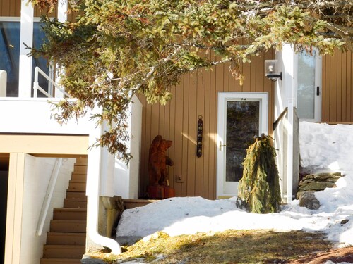 Mad River Valley Condo with Gourmet Kitchen, 2 Bedrooms, comfortably sleeps 6