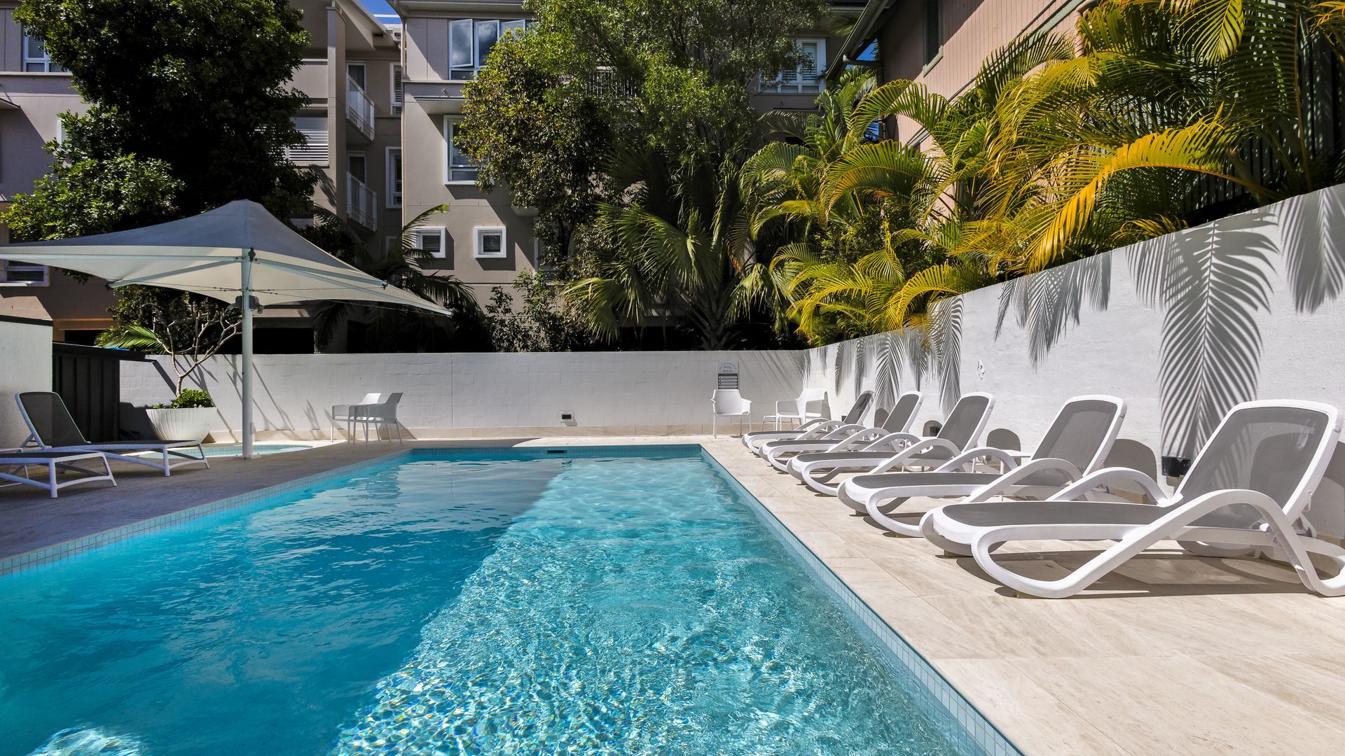 A swimming pool with lounge chairs and a white wall with palm trees.