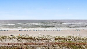 A beach with rows of umbrellas and lounge chairs, a sandy shore, and a calm sea. - Sandy Key 635: 2 BD/2BH, 6th floor (Pensacola)
