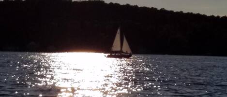 Een zeilboot op kalm water, met een bebost strand in de achtergrond.
