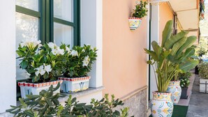 Potted plants on a building's exterior, a window with a green frame, and a door.