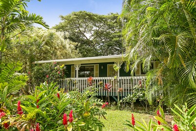 Sleeping Giant Cottage with Plunge Pool TNVC #1244