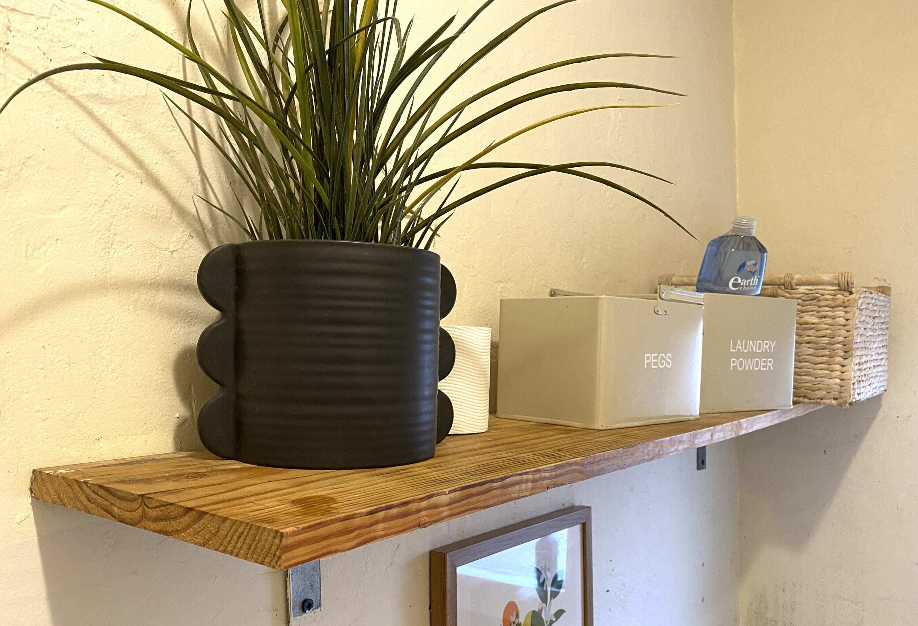 Uma prateleira com um vaso de planta, uma caixa com a etiqueta 'PEGS' e uma caixa com a etiqueta 'LAUNDRY POWDER'.