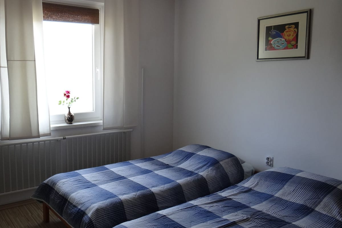 A bedroom with two beds, a window with curtains, a radiator, and a framed picture on the wall.