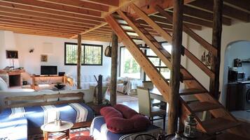 TV, fireplace, DVD player, books