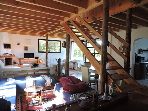 TV, fireplace, DVD player, books