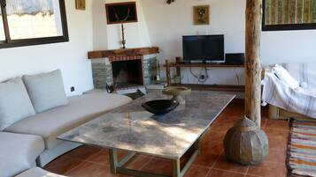 TV, fireplace, DVD player, books