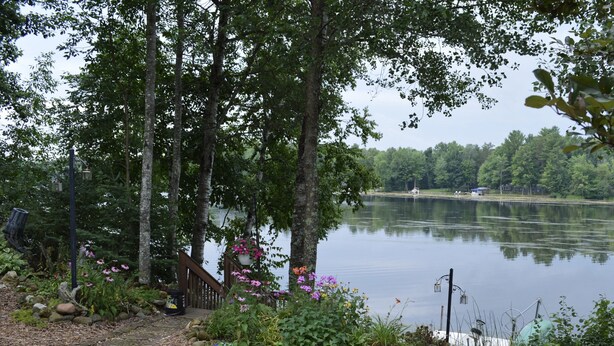 A serene lakeside view with a dock, surrounded by lush greenery and flowering plants.