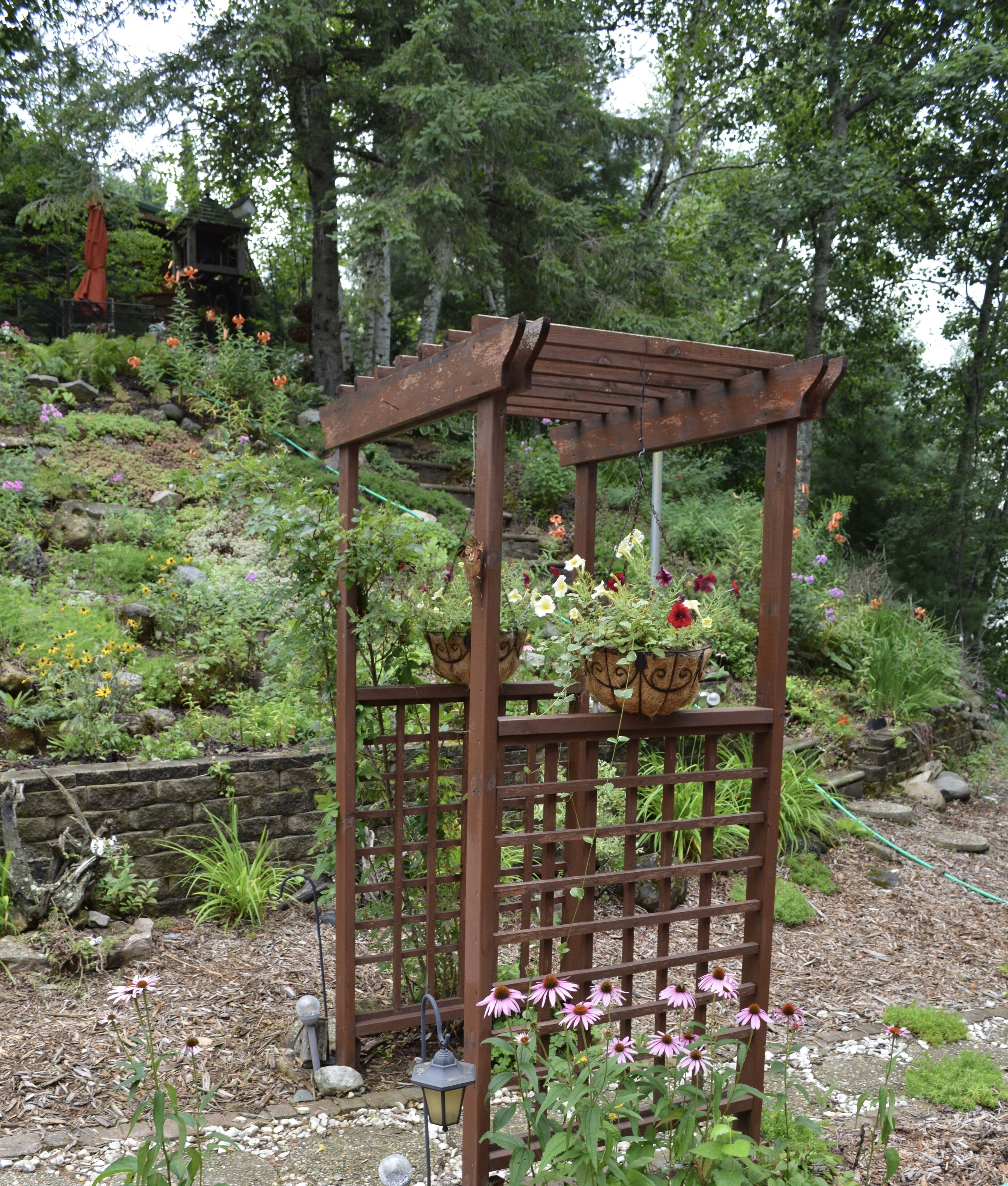 A wooden pergola with a lattice structure, surrounded by a garden with various plants and flowers.